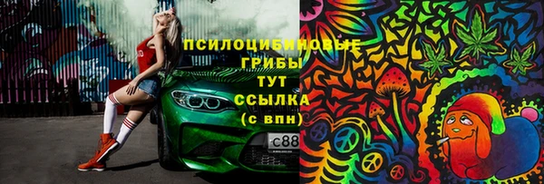 гашик Алзамай